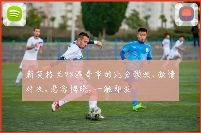 新英格兰vs温哥华的比分预测,激情对决,悬念揭晓,一触即发