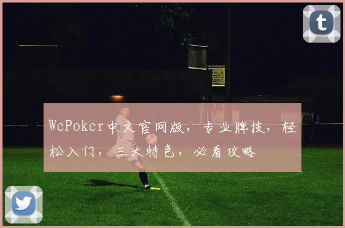 WePoker中文官网版，专业牌技，轻松入门，三大特色，必看攻略