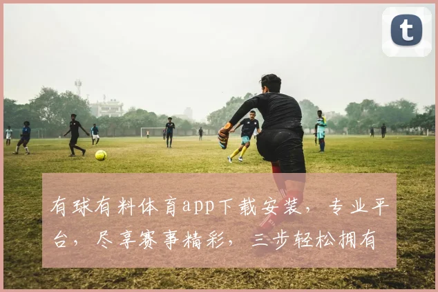 有球有料体育app下载安装，专业平台，尽享赛事精彩，三步轻松拥有