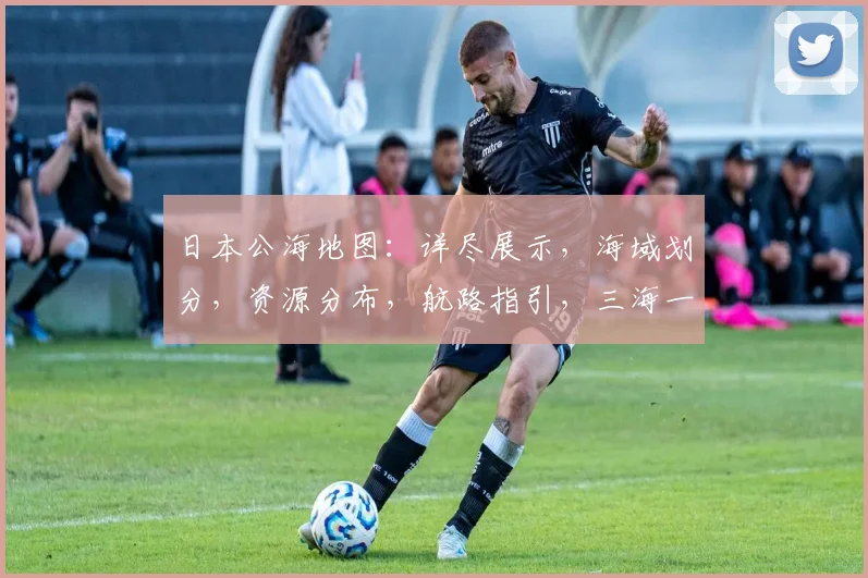 日本公海地图：详尽展示，海域划分，资源分布，航路指引，三海一岛，探索奥秘，三面环海，战略要地。