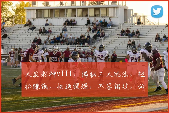 大发彩神vIIl，揭秘三大玩法，轻松赚钱，快速提现，不容错过，必看攻略
